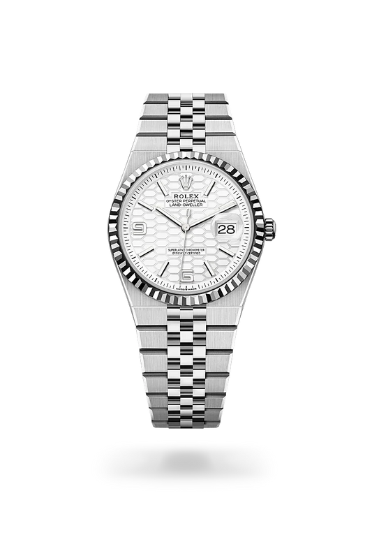 Rolex Land-Dweller 36