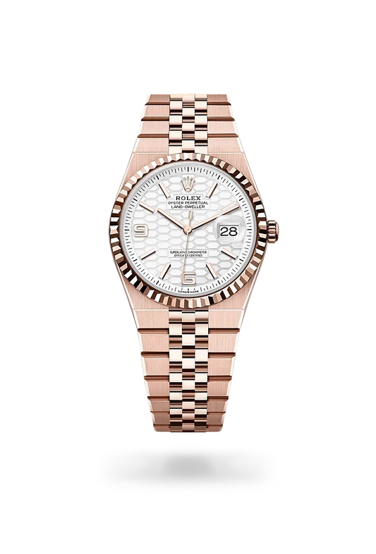 Rolex Land-Dweller 36